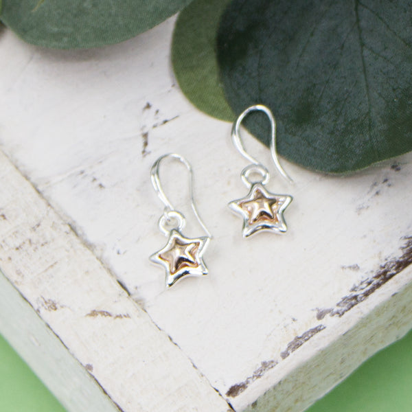 Little star fish hook earrings